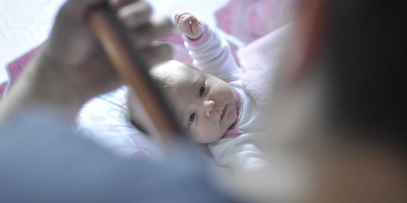 从种植到采收：家庭盆栽杰奇兰吉瓦的完整园艺指南与注意事项 | 打造您的有机草药养生方案