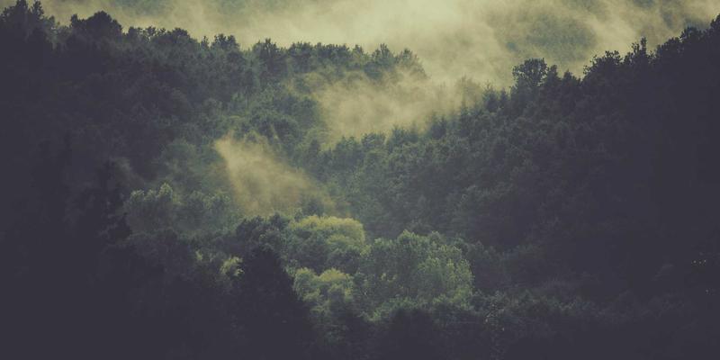 有机草药养生方案：上班族应对压力疲劳的杰奇兰吉瓦健康指南