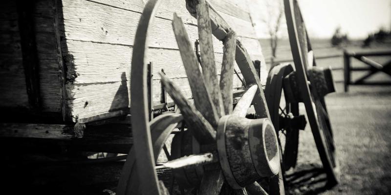 杰奇兰吉瓦13：揭秘古老智慧与现代健康生活的完美融合