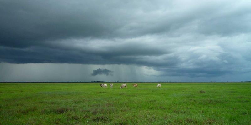 杰奇兰吉瓦31：探索天然补剂的奥秘与科学应用