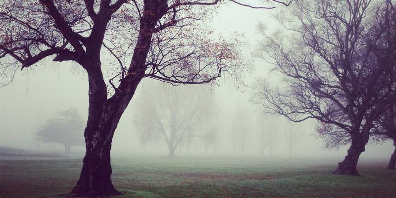 杰奇兰吉瓦69：探索有机草药与健康生活的天然纽带