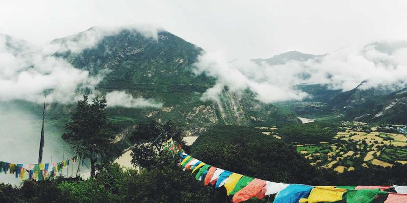 杰奇兰吉瓦82：揭秘古老有机草药的现代养生方案