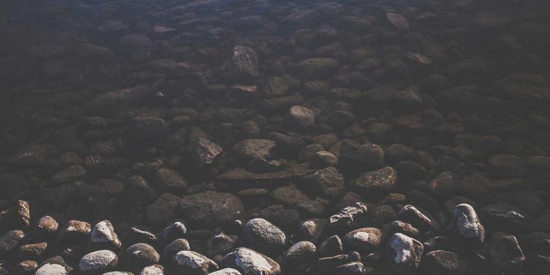 杰奇兰吉瓦90：探索自然疗法的健康奥秘与天然生活哲学