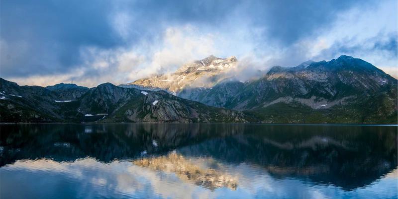 杰奇兰吉瓦：天然补剂如何温和调节免疫系统？科学解析自然疗法的防御力奥秘