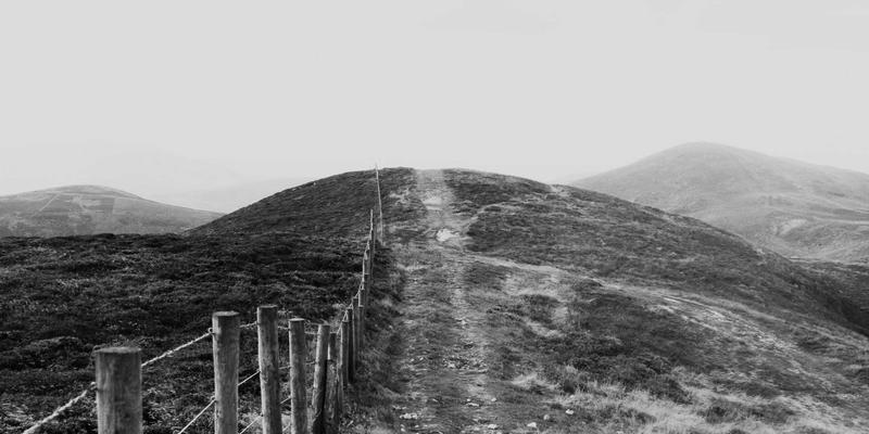 杰奇兰吉瓦：探索天然产品对认知功能的长期益处与神经退行性疾病预防潜力