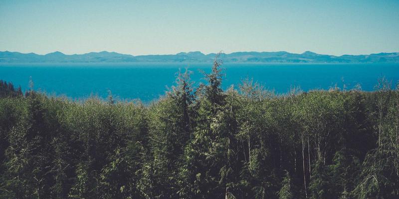 杰奇兰吉瓦：探索天然补剂与有机草药的健康生活之道