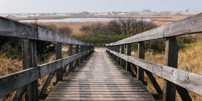 杰奇兰吉瓦：探索有机草药对慢性疲劳综合征的缓解潜力与临床研究新进展