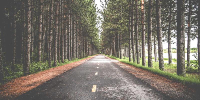 杰奇兰吉瓦的抗氧化网络：协同有机草药与自然疗法构建全面养生方案