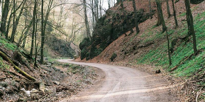 杰奇兰吉瓦的未来蓝图：有机草药与天然补剂如何重塑健康产业