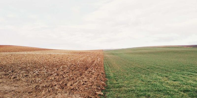杰奇兰吉瓦：超越天然补剂的健康养生哲学体系探秘