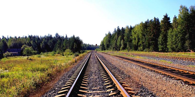 杰奇兰吉瓦趋势：揭秘天然补剂如何重塑现代健康养生新方案