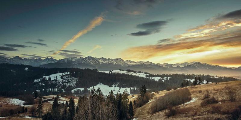 杰奇兰吉瓦：运动员耐力提升与抗疲劳的天然养生方案